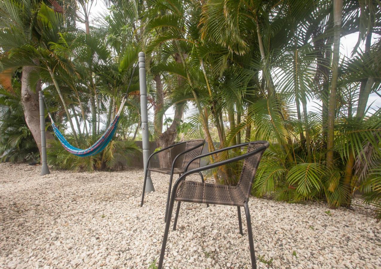 Casa Loba Suite 3 With Private Pool And Tub Rincón Exteriér fotografie